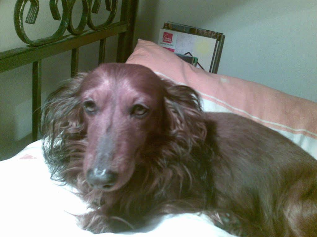 Modrá